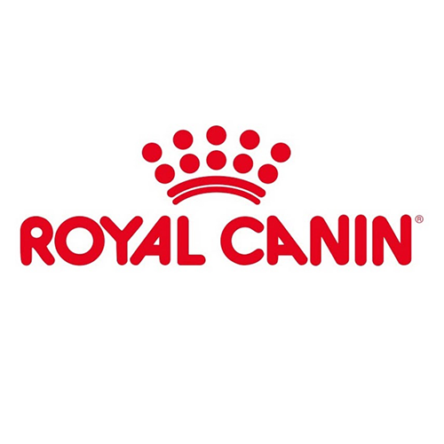 Royal Canin gato